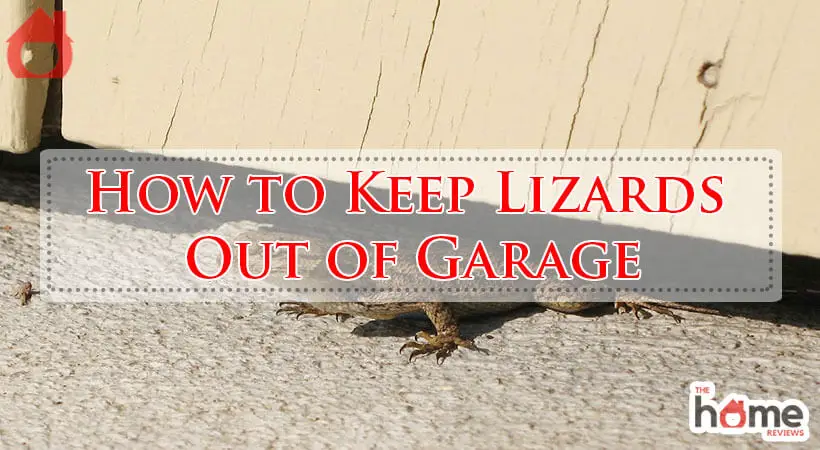How to Keep Lizards Out of Garage-Fi