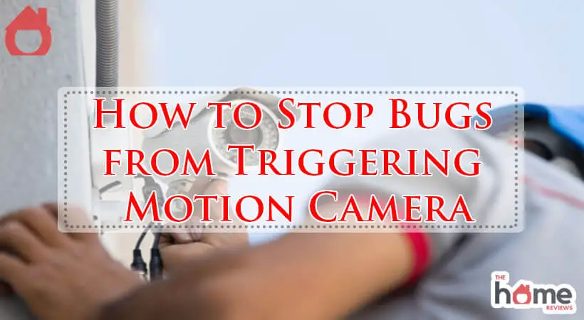 How to Stop Bugs from Triggering Motion Camera-Fi