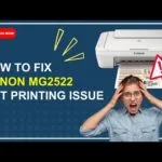 Canon Mg2522 Troubleshooting