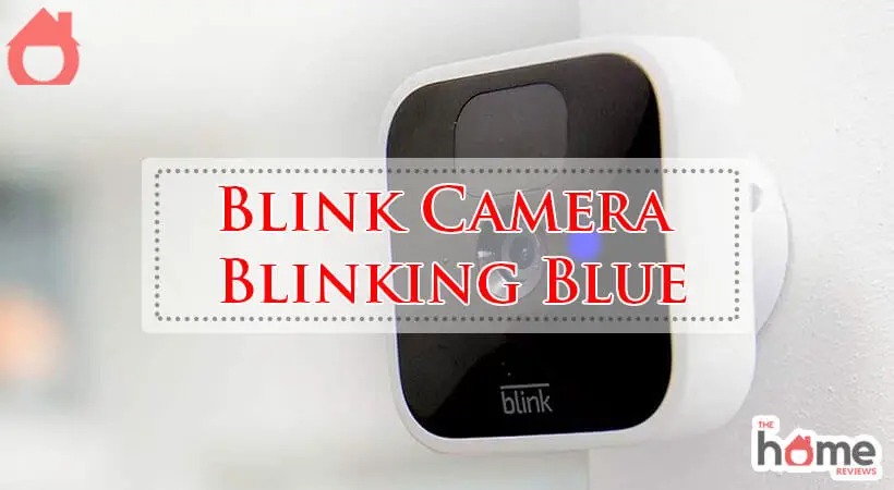 Blink Camera Blinking Blue-Fi