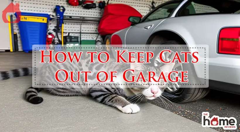 How to Keep Cats Out of Garage-Fi