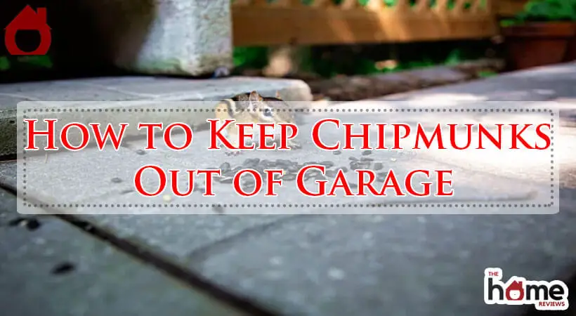 How to Keep Chipmunks Out of Garage-Fi