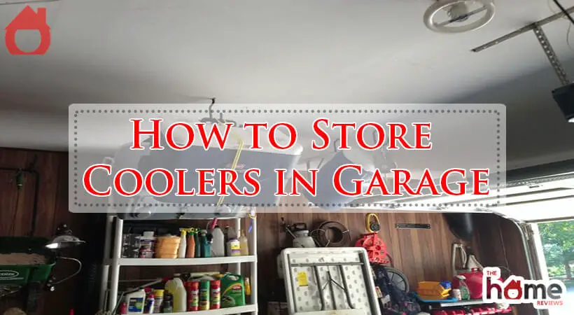 How to Store Coolers in Garage-Fi
