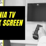 Insignia Tv Turns on But Screen is Black