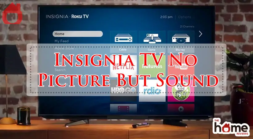 Insignia TV No Picture But Sound-Fi