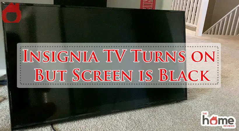 Insignia TV Turns on But Screen is Black-Fi