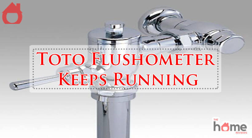 Toto Flushometer Keeps Running-Fi