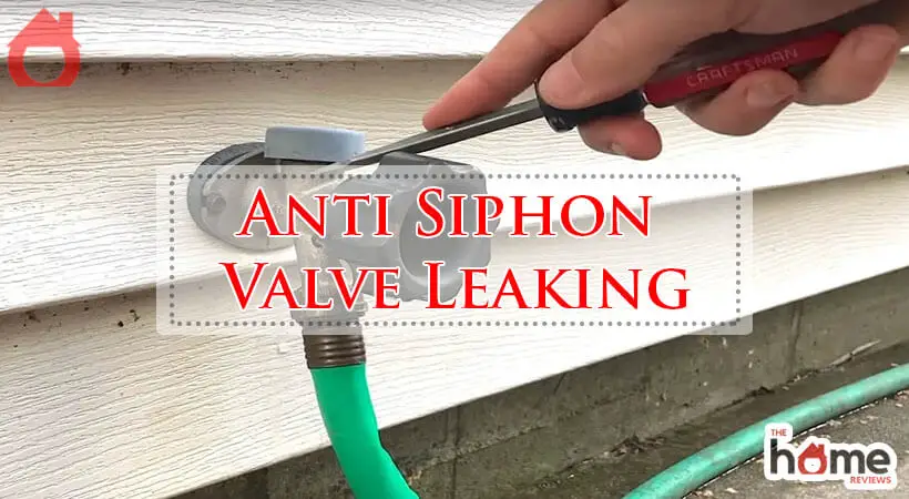 Anti Siphon Valve Leaking-Fi