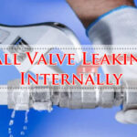 Ball Valve Leaking Internally-Fi