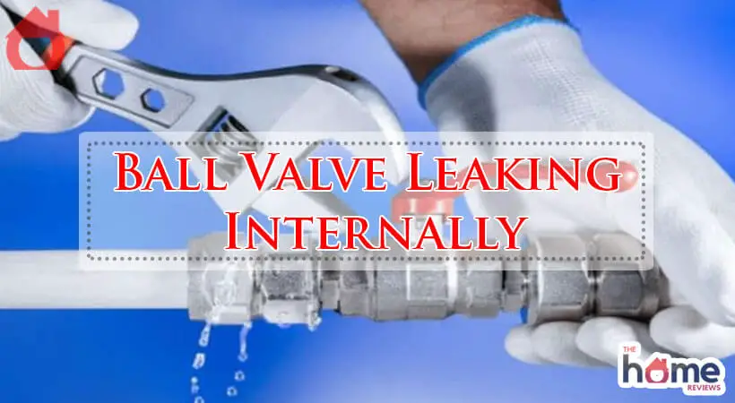 Ball Valve Leaking Internally-Fi