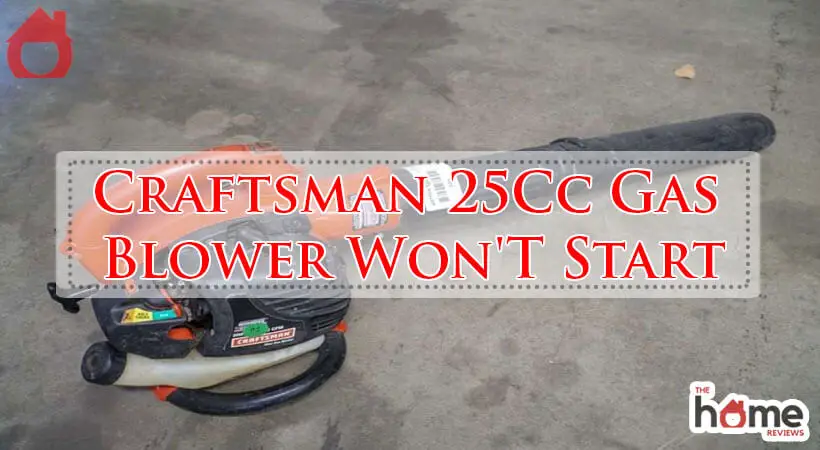 Craftsman 25Cc Gas Blower Won'T Start-Fi