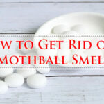 How to Get Rid of a Mothball Smell-Fi