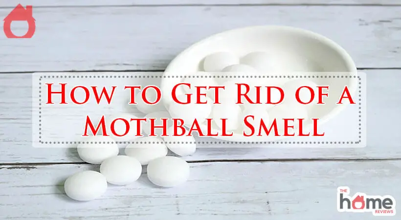 How to Get Rid of a Mothball Smell-Fi