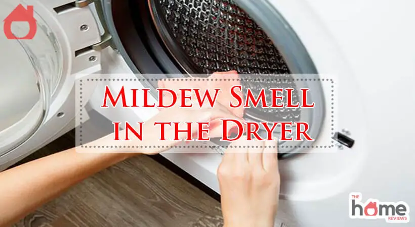 Mildew Smell in the Dryer-Fi