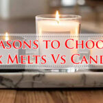 Reasons to Choose Wax Melts Vs Candles-Fi