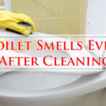 Toilet Smells Even After Cleaning-Fi