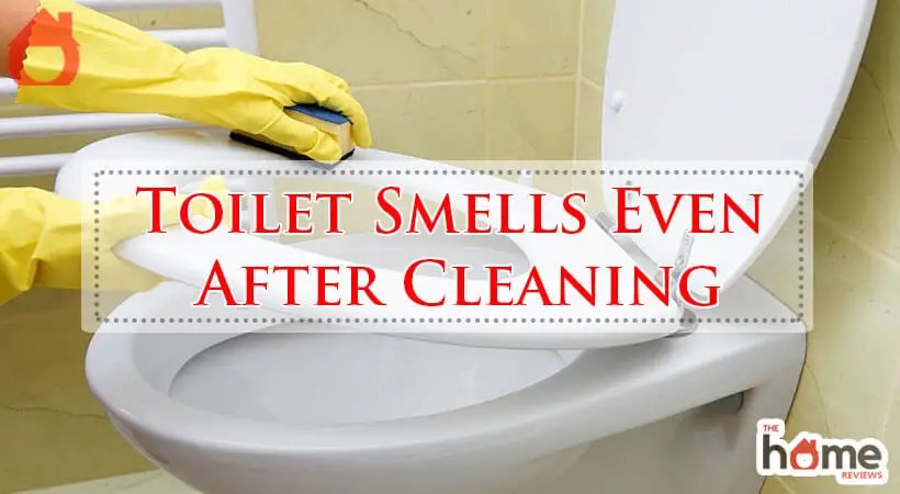 Toilet Smells Even After Cleaning-Fi
