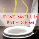 Urine Smell in Bathroom-Fi