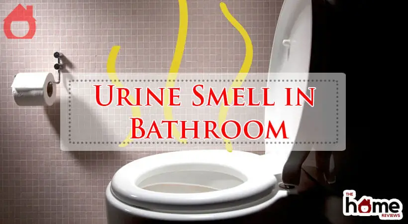Urine Smell in Bathroom-Fi