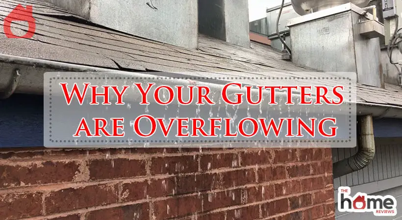 Why Your Gutters are Overflowing-Fi