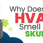 Basement Smells Like Skunk
