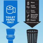Can You Flush Tissues