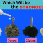 Charcoal Vs Baking Soda
