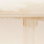 Dripping Sound in Wall