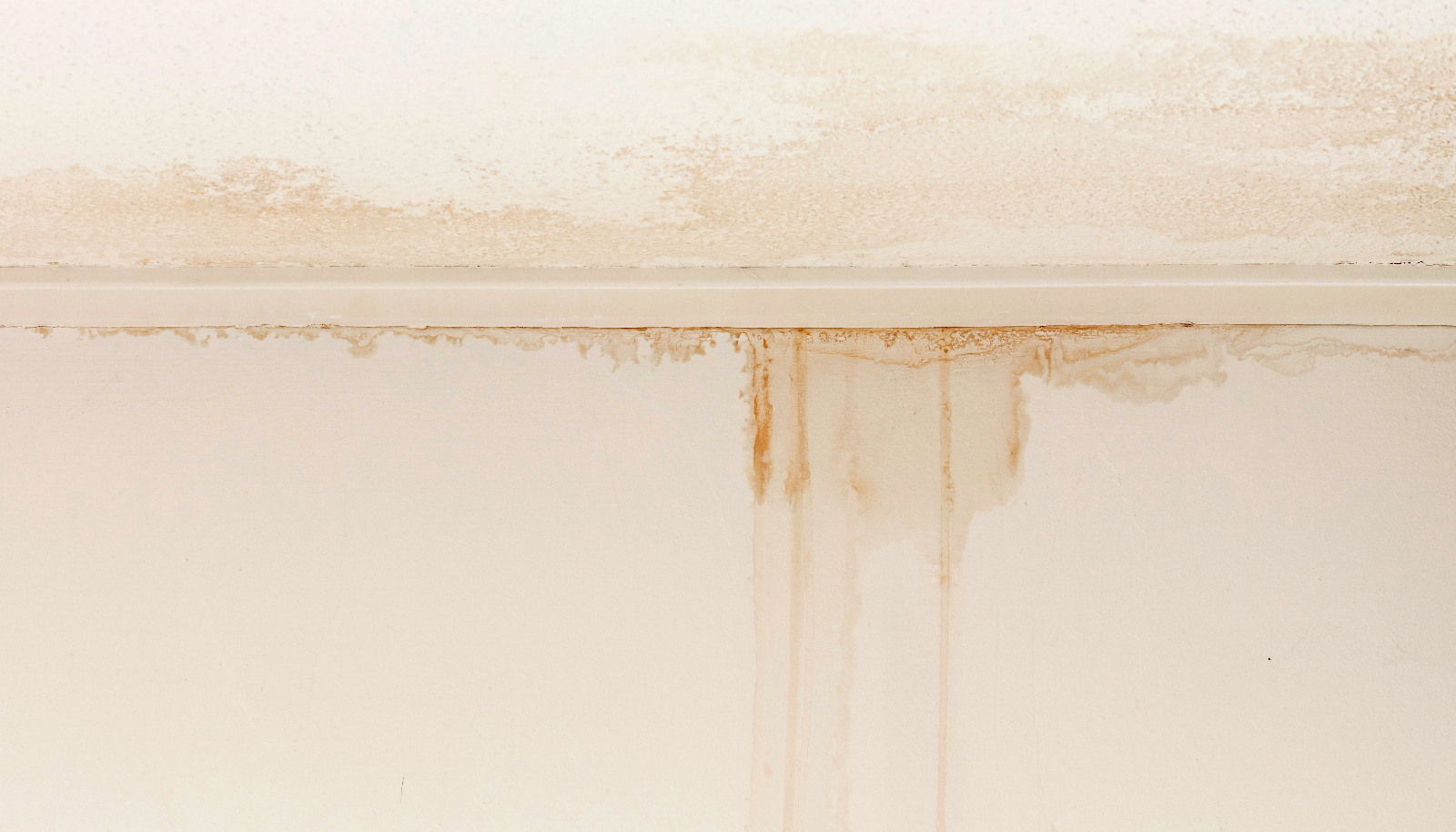 Dripping Sound in Wall