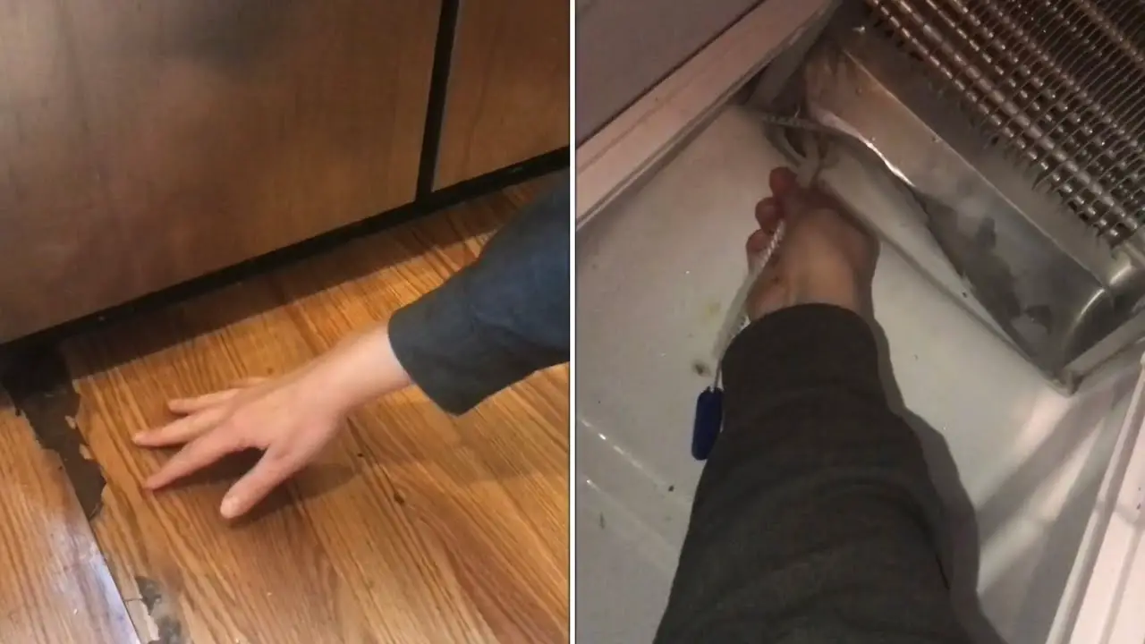 Frigidaire Refrigerator Leaking Water on Floor