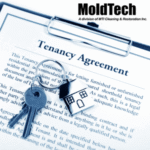 How Long Does a Landlord Have to Fix a Mold Problem