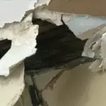 Landlord Won'T Fix a Leaking Roof