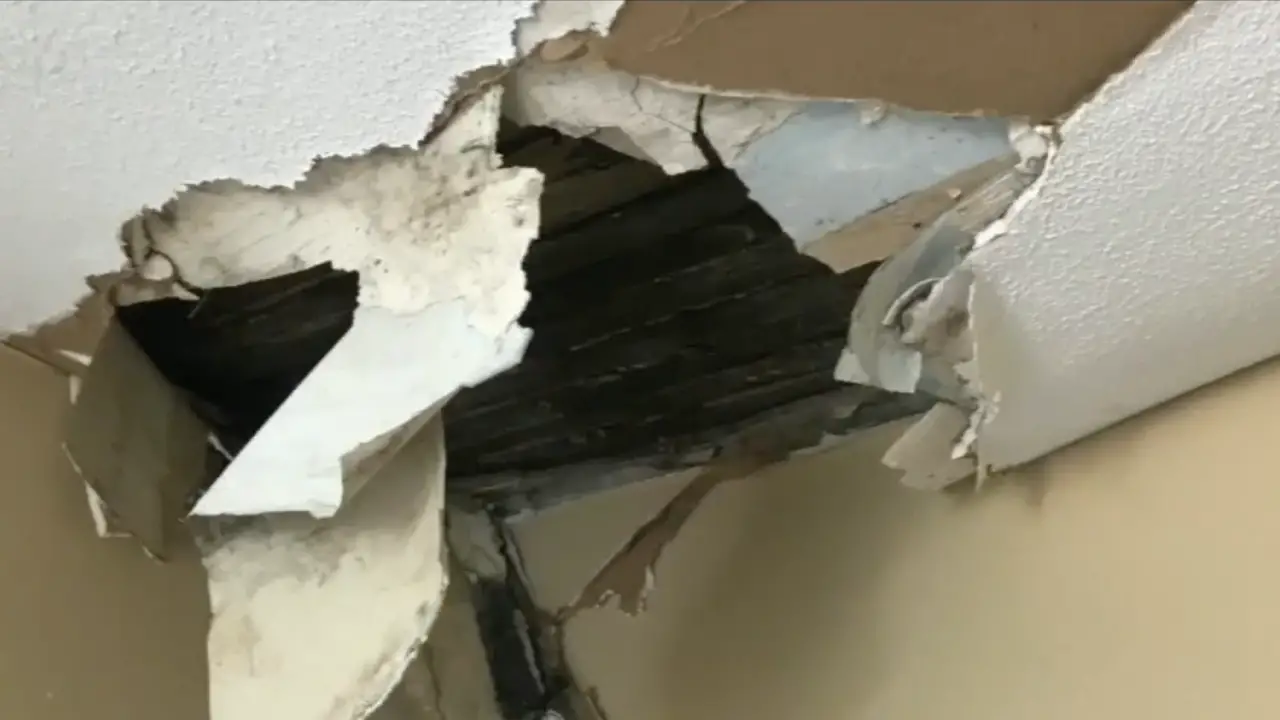 Landlord Won'T Fix a Leaking Roof
