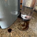 Nespresso Vertuoplus Leaking Coffee