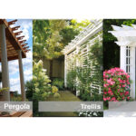 Pergola Vs Trellis