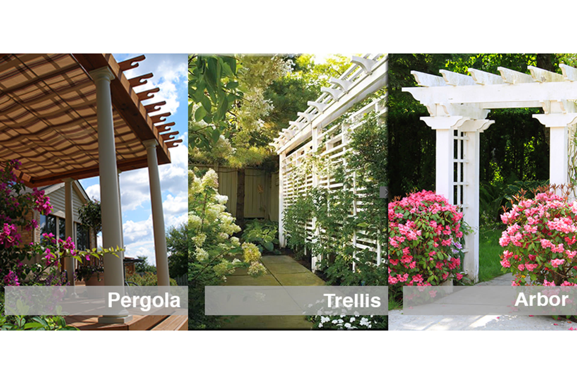 Pergola Vs Trellis