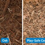 Pine Bark Vs Cypress Mulch