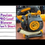Poulan Pro Leaf Blower Won'T Start