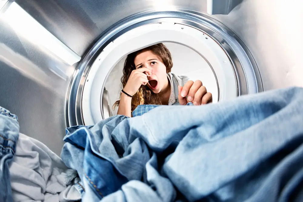 Smell in Washing Machine