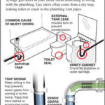 Toilet Smells Like Sewerage When Flushed