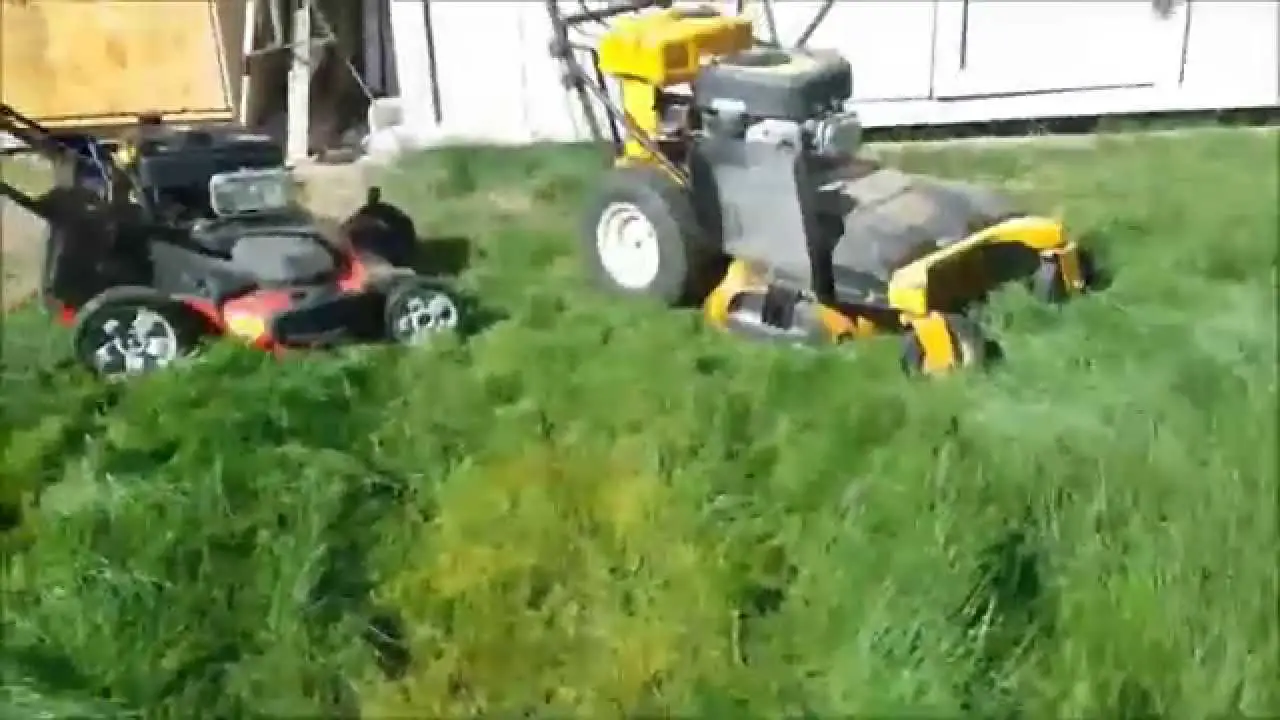 Toro Vs Cub Cadet