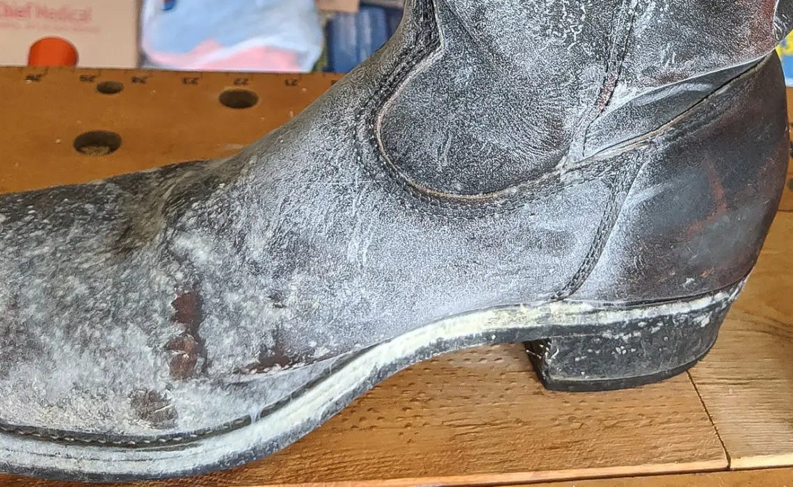 Why are My Leather Shoes Growing Mold