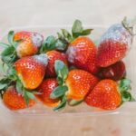 Why Do My Berries Get Moldy So Fast