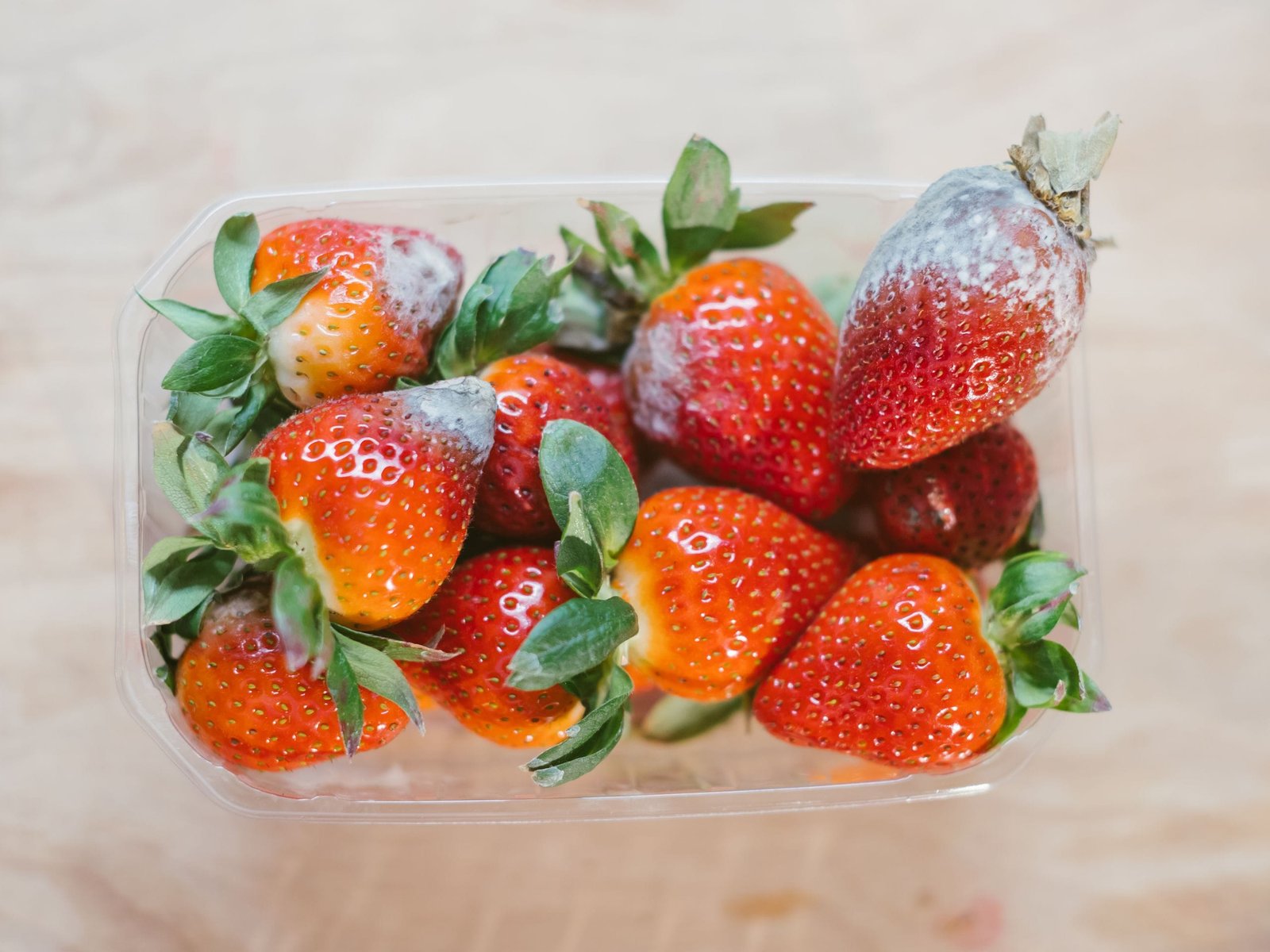 Why Do My Berries Get Moldy So Fast? Expert Tips