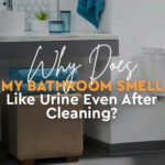 Why Does My Bathroom Smell Like Urine