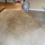 Why Does My Carpet Look Worse After Cleaning