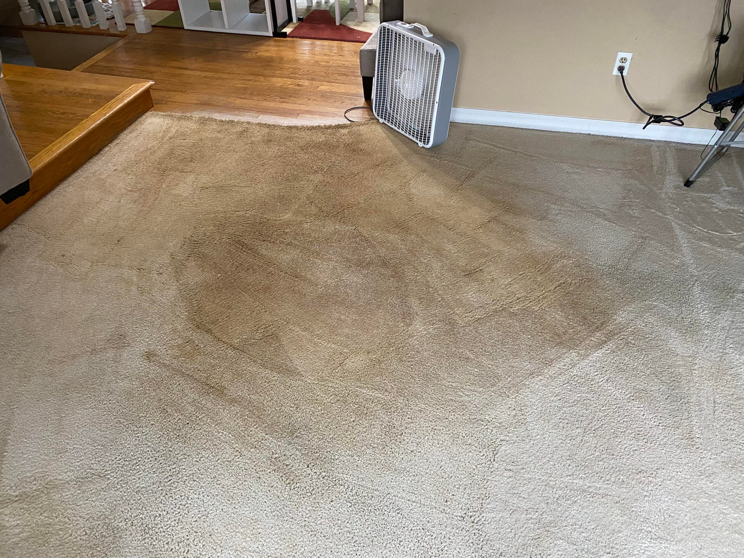 Why Does My Carpet Look Worse After Cleaning