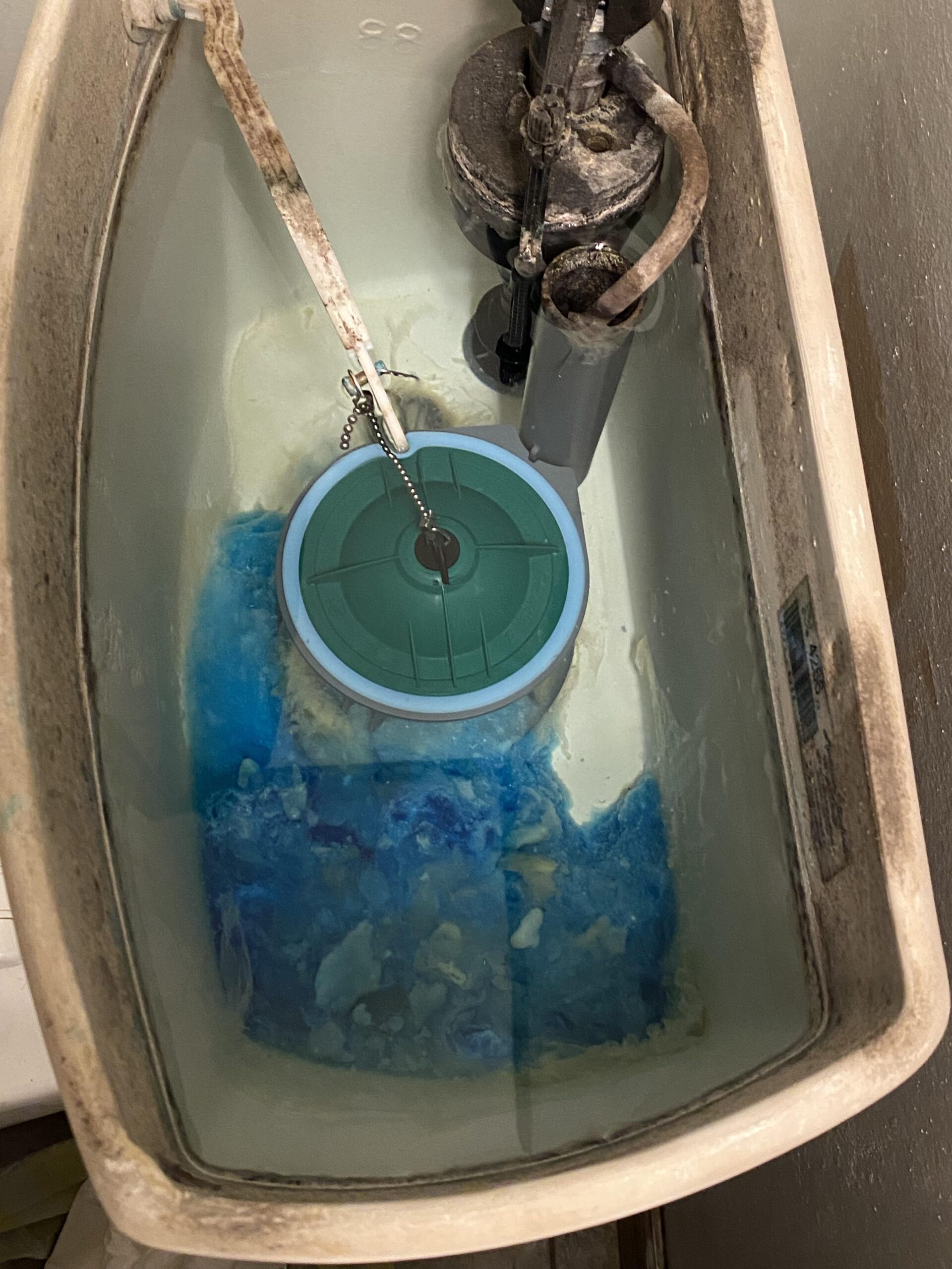 Why is My Toilet Water Blue
