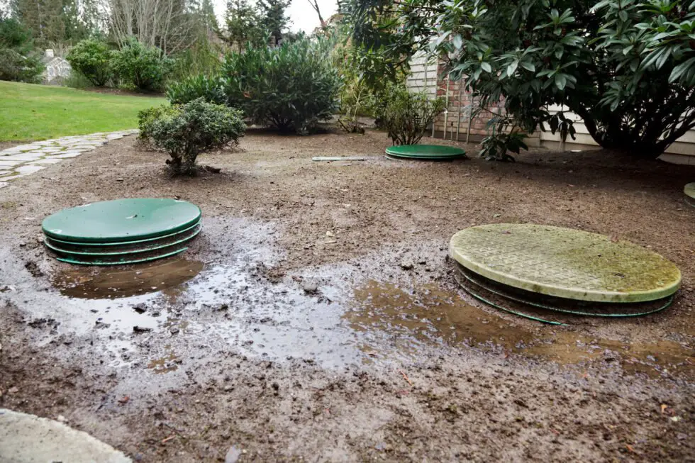 Why is There Water around My Septic Tank