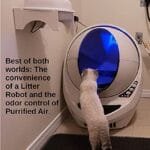 Best Air Purifier For Ferret Odor
